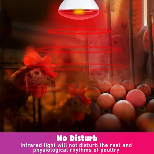 LUCKY HERP Infrared Heat Lamp for Chickens, 250 Watt Red Heat Lamp Bulb, 2 Pack Heat Light Bulb, Brooder Heat Lamp for Chicks Coop, Reptiles, Amphibian, Pet, Food Service - style: 250W Heat Lamp 2 PACK