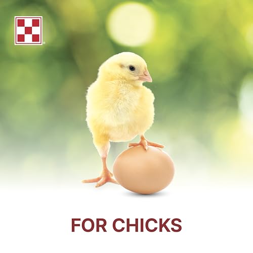 Purina Start & Grow | Nutritionally Complete Medicated Chick Feed Crumbles | 25 Pound (25 lb.) Bag