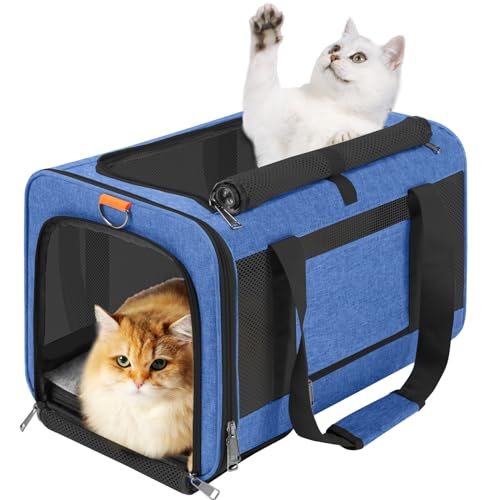 GAPZER Large Cat Carrier Soft, Collapsible Travel Pet Carry Bag, Small Dogs | Large Kitty Cat 20 lbs Maine Coon, Top Load Transport Small Puppy Dog Kennel, Yorkie Little Dog 10lbs, Sturdy Fabric Blue - color: Blue
