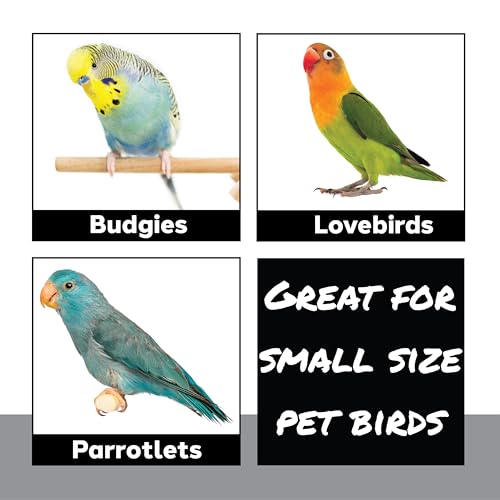 1472 Shred Deck Bird Toy - Interactive Chewable Card & Crinkle Paper Foraging - Colorful Bird Shredding Toy with Foam Beads - Engaging Parakeet Cage Accessories for Budgies, Cockatiels & Conures