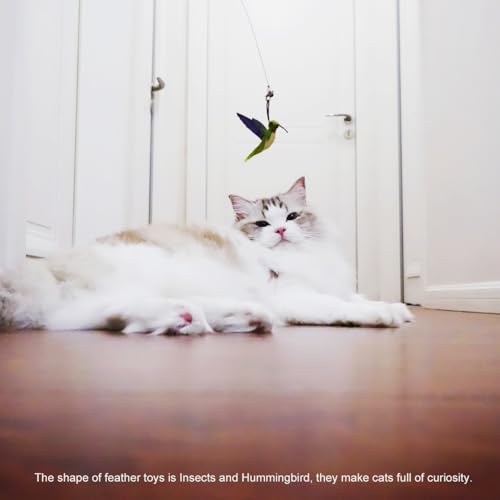 TTcat Cat Toy Hummingbird Refill Attachments with Bell & Feather, Replacement Bird Wand Toy Accessories for Interactive Cat Teaser Stick, Soft Furry Bird Kitten Chase Play Toys for Indoor Cats. - color: 3Pcs (Insects+Hummingbird)