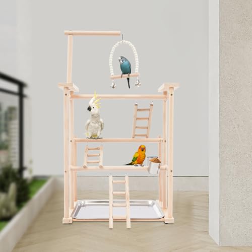 Premium Parrot Play Stand - Large Bird Gym Activity Center for Macaws, Cockatoos, African Greys, Indoor Outdoor Playground