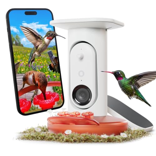 Birdbuddy Solar Hummingbird Feeder with Camera, AI Bird ID, 2K Video, Photo | 2K video quality, 5MP Photos, 1/2.7” sensor with excellent low-light performance, High Dynamic Range (HDR)