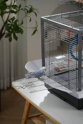 Small Bird Cage with Playground Stand - Spacious & Safe Design for Small Birds, Portable Bird Carrier with Handles and Play Top, Transparent Food Cup with Perch