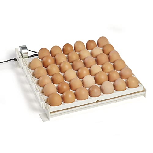 Farm Innovators Automatic Egg Turner, 41 Spot Chicken Egg Turning Tray with Thermometer for Improved Hatching Rate - Compatible with Select Incubators | Automatically turns the eggs completely every 4 hours to eliminate manual handling and improve hatch r