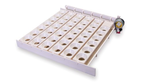 Little Giant® Automatic Egg Turner | 41 Eggs | Equipment for Incubating Large Eggs | Hatching Chicks
