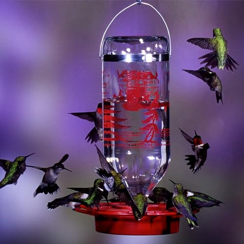 Birds Choice Hummingbird & Oriole Nectar | Pure & Healthy Sucrose Nectar for Birds | Easy Mix Concentrate | Natural Flower Sugar Alternative, No Additives | Safe for Feeders | 24 oz (3-Pack) | Sucrose-Based Easy Mix Concentrate, No Additives, Natural Flow