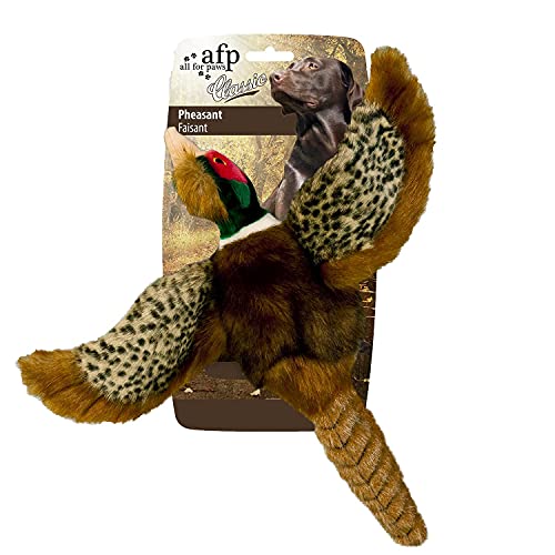ALL FOR PAWS Dog Interactive Pheasant Toys, Squeaky Dog Toys, Stuffed Animal Dog Hunting Plush Toy, Small
