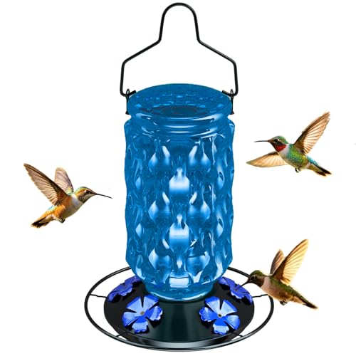 Glass Hummingbird Feeder for Outdoors, 25OZ Hummingbird Feeder with 5 Flower Ports & Perch, Leak-Proof, Crystal Clear – Hummingbird Feeders for Outdoors Hanging, Garden Decor,Gifts for Women Men(Blue) - color: Blue