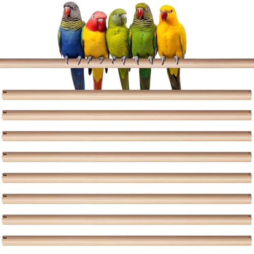 Sintuff 8 Pcs Bird Perches for Cage Accessories, Wooden Perch Rods Replacement with Double Head Slots, 0.6 Inch Diameter Natural Wood Stand for Parrot Macaw Cockatoo Parakeet (15 Inches) - size: 15 Inches