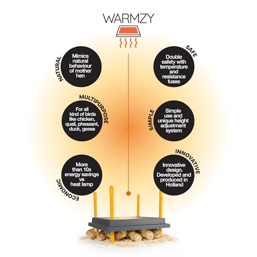 Hatching Time Warmzy 12"x16" Chick Heating Plate – Safe 30W Chicken Coop Heater for 25–30 Chicks with Adjustable Legs | Gentle Low-Heat Brooder Plate for Chicks, Durable Fire-Resistant Chicken Heater - size: 12" x 16" for 25–30 Chicks
