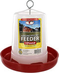 Little Giant® Plastic Hanging Poultry Feeder | Heavy Duty Automatic Feed Container for Poultry (Red, 3 Pound) - size: 3 Pound