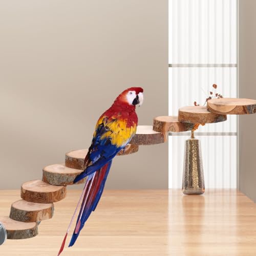 Balacoo Parrot Ladder, Bird Platform Perch, Hamster Platform, Parakeet Cage Toy, Bird Cage Natural Wood Ladder, Standing Perch (10 Steps)