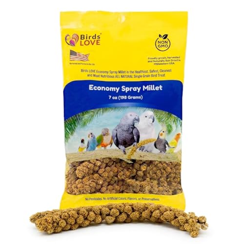 Birds LOVE Economy Spray Millet for Birds, 7 oz, GMO-Free Natural Millet Spray Treat, Stem-Reduced Edible Tops, Grown in USA, for Parakeets, Cockatiels, Lovebirds, Finches, Canaries & Small Parrots