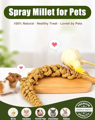 TINYFIELD Millet Spray for Birds, Parakeet Budgie Cockatiel Parrot Treats Snacks (0.5 Pound) | Real Fish Included, Seeds & Nuts Blend