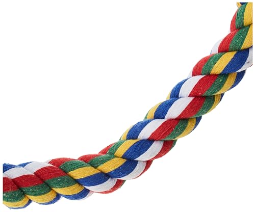JW Pet Swing N' Perch, Medium - size: Medium