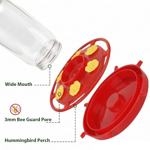 Plastic Hummingbird Feeder 2 Pack 20oz Ant-Moat Bee-Proof Outdoor | Wide Mouth Easy Clean, 6 Bee-Proof Feeding Ports, Leak Proof, Stainless Steel Hook, for Backyard Garden Patio