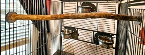 Polly's Full Length Hardwood Cage Perch for Parakeets, Cockatiels, Cockatoos, Macaws, and Other Birds (24") - size: 26 inch (Pack of 1)