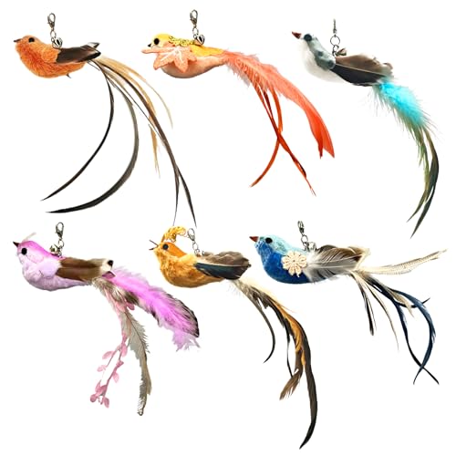 6 Pieces Cat Feather Toys Replacement Bird Cat Toy Wand Refills Cats Toy Replacement Natural Bird Feathers for Cats Toys - color: 6 Pcs Bird