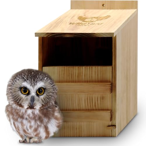 Barn Owl Nesting Box - Large, Cedar, Preassembled, Easy-Hang | Traditional Cedar Wood Owl Box with front-access door for easy cleaning, attracts screech owls and backyard birds.