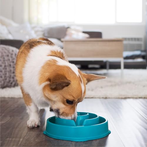 Outward Hound Fun Feeder Slo Bowl – Medium 2‑Cup Capacity, Slow Feeding, Small to Medium Dogs & Cats, Non-Slip, Turquoise, Drop Pattern - color: Turquoise, size: Medium