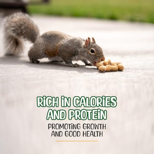 Sneaky Mango Raw Peanuts in Shell - 2 Pounds – All-Natural Food for Squirrels, Deer, Birds, and Other Wildlife Animals – Grown in The USA for Healthy Nutrition