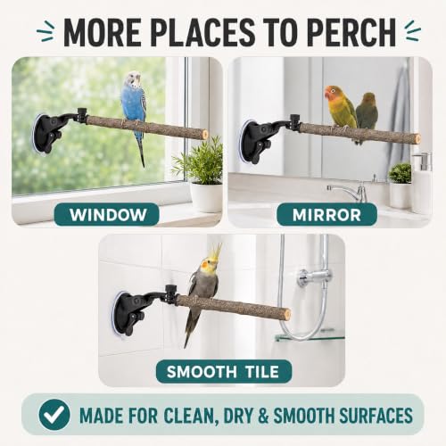 2 PCS Parrot Perch Stand, Movable Perch Stand Bird Training Set, Wood Parrot Perch Stand with Strong Suction Cup for Cockatoo, Macaw, Parakeet, Window Mirror Car Shower Ceramic Tiles Bath