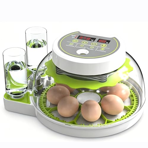 JUJOJB 12-Egg Incubator for Hatching Eggs, Auto Turner, Temp Control | Humidity and temperature control, egg candler, 360-degree window. For chicken, duck, quail, turkey eggs. Adjustable dividers. - color: Green