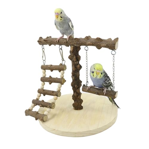 Natural Wood Parrot Play Stand, Bird Gym with Ladder and Swing, Training Station, Climbing Playground for Budgies, Cockatiels, Lovebirds,Conures Small to Medium Birds