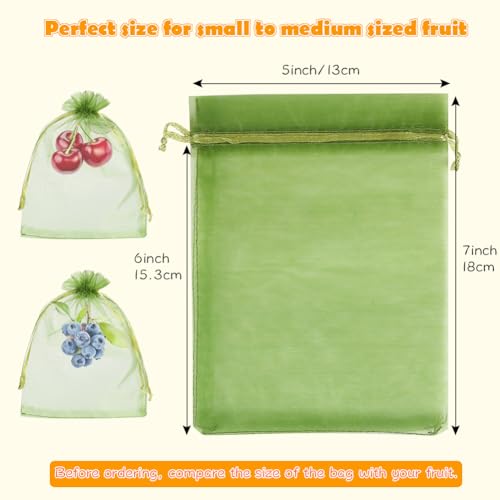 Shintop100Pcs Fruit Protection Bags, 5x7inch Green Strawberry Net Cover | Drawstring Mesh Bags, Fine Mesh Bird/Insect Barrier, Breathable Organza, Gentle on Delicate Stems, Fits Blueberries and Figs - size: 5x7 inch
