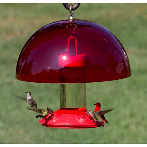 12 Inch Red Dome Baffle, Hummingbird Feeder Shade and Squirrel Guard | Red Color; Hummingbird Attracting; 12 Inch Dome; Keeps Nectar Cooler - color: Red
