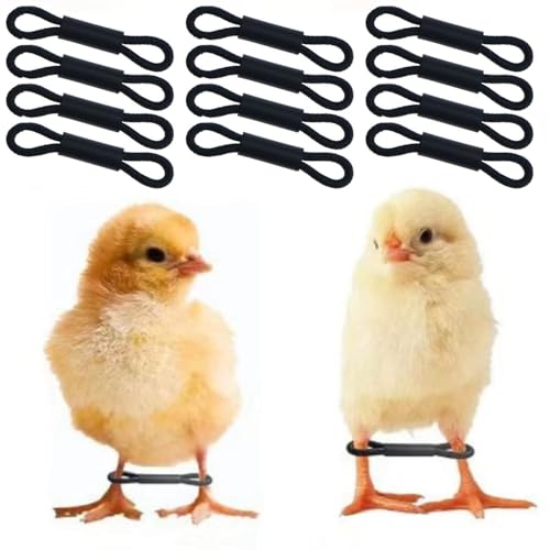 QAZXCDEW-120pcs Baby Chick Leg Bands Adjustable Chicken Hobble Braces Chicken Leg Bands for Spraddle Leg Repair of 1 to 3 Days Newly Hatched Poultry Band of Chic