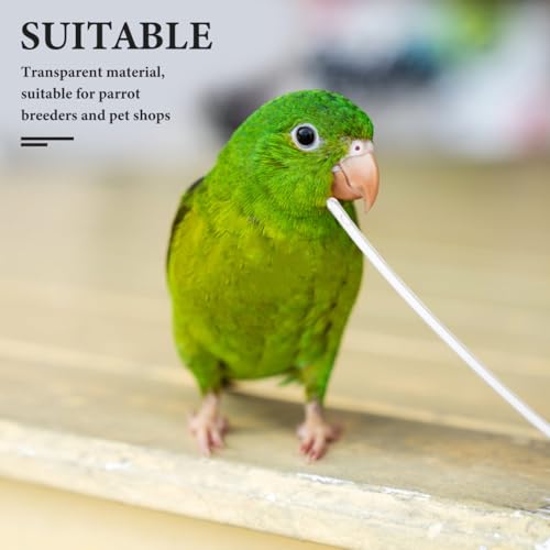 POPETPOP 100 Pcs Parrot Feeding Tubes: Transparent Plastic Baby Bird Milk Feeding Hose, Parrot Water Feeder Tool for Nursery Baby Bird Budgies Cockatiels - Easy to Clean
