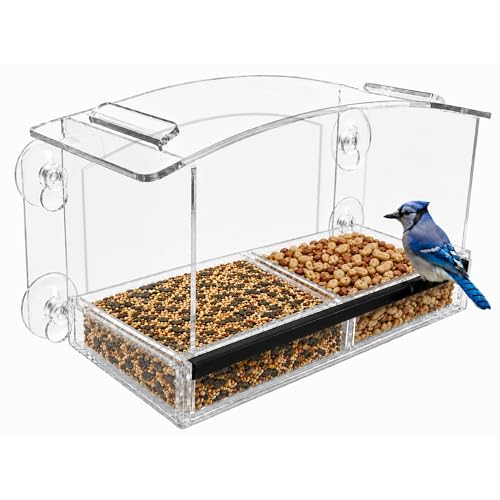 Acrylic Clear Window Bird Feeder with Strong Suction Cups, Removable Sliding Seed Tray, Weather-Resistant & Easy to Clean for Window Viewing, Earth-Friendly Dome - size: Style: Eco-Friendly Dome