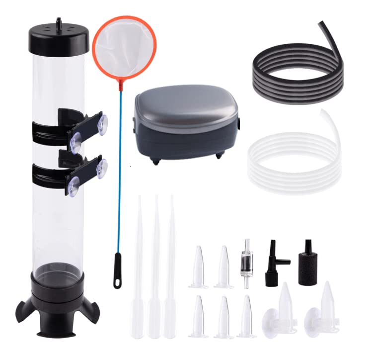 Brine Shrimp Hatchery Kits brines Shrimps Eggs Incubator Hatchery brine Shrimp Eggs Incubator Artemia Hatcherying with Silver air Pump