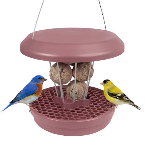 SWISSINNO Bird Feeders - No Mess Fat Ball/Suet Feeder for Outdoors Hanging - Smart Birds Lucerne Spill Proof Wild Cardinal Bird Feeder with Integrated Seed Catcher Tray - Dusty Rose - color: Dusty Rose, style: Lucerne