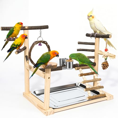 Bird Playground,Parrot Stand with Feeding Cup, Swing, Chew Toys,Removable Tray,Suitable for Small to Medium Birds, Ideal Perch for Budgerigars, Parakeets,Cockatiels