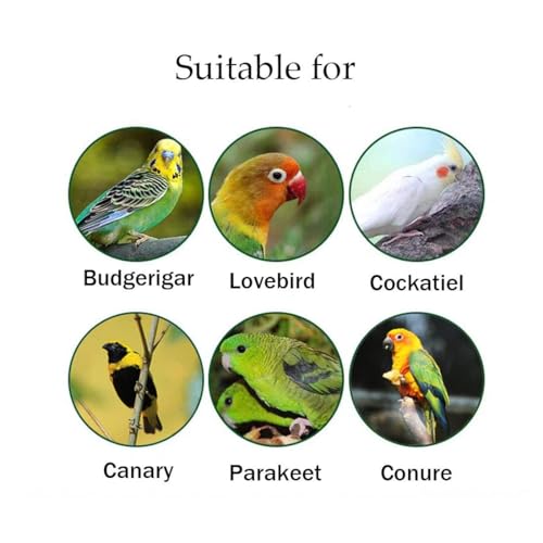 Hamiledyi Wood Bird Perch 4PCS Natural Wooden Stand Platform Parrot Cage Accessories for Budgie Conure Parrot Parakeet Cockatiel Lovebird - size: 3.5x2+5.9x2in