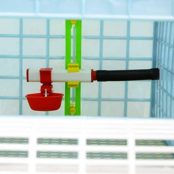 Small Grow Out Pens: 1 Section, 9.5 Inch Headspace, Hygienic Waste Tray, Smart Feeder, Poultry Grow Out Pen, Grow Out Cages with Elliptical Flooring - Cimuka by Hatching Time - style: 1 Section, 1 Layer