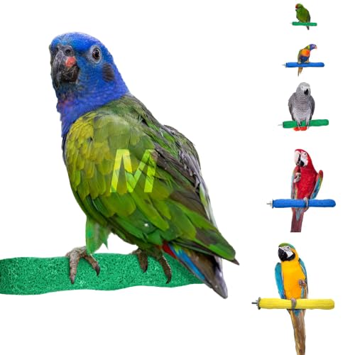 Sweet Feet and Beak Comfort Grip Safety Bird Perch, Medium Pedicure Perch | Made from Bird-Safe Concrete Blend, Promotes Feet, Nails and Muscle Stimulation, 8.5" Perch, Available in 5 Sizes, Green - color: Green, size: Medium 8.5"