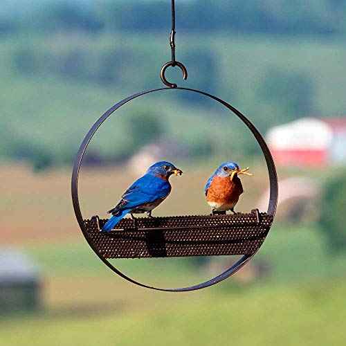 Mosaic Birds Bistro Bird Feeder, Copper, M439-200-C, 1 Piece - color: Copper