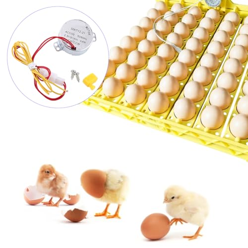 Joyzan Egg Turner Motor, AC Chicken Rotator Incubator Small Hatching Tool | Automatic Turntable Guide Accessory Connector CW CCW Dual Working Modes for Incubating Electric Ducks Goose Birds Tray Quail