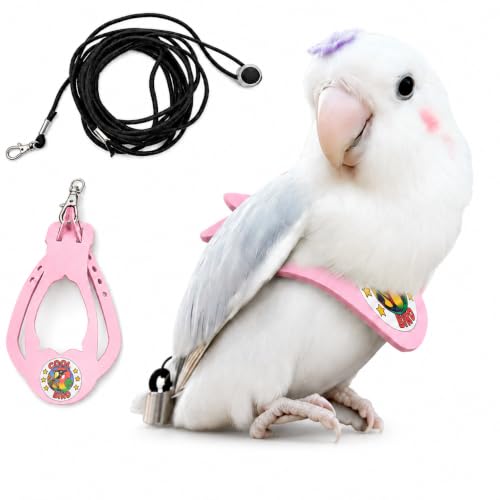Bird Harness and 3M Elastic Flight Leash, Adjustable Parrot Harness for Budgies, Parakeets, Lovebirds, Cockatiels, Conures, Quaker Parrots, Pigeons(Pink, XS) 6350-15 - color: Pink, size: XS,for Lovebirds and similar size