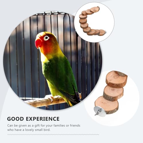 Balacoo Parrot Ladder, Bird Platform Perch, Hamster Platform, Parakeet Cage Toy, Bird Cage Natural Wood Ladder, Standing Perch (10 Steps)