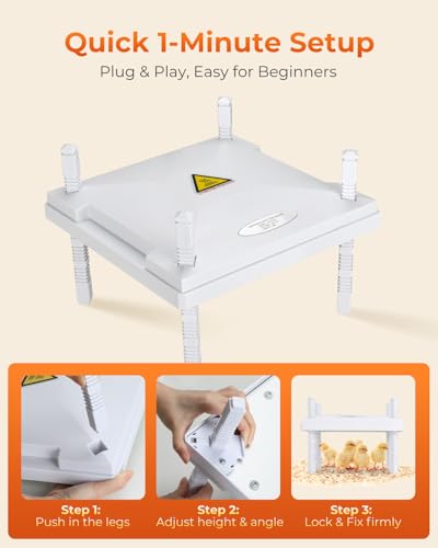 12"x12" Chick Heat Plate with Remote Precise Temperature Control | Adjustable height and angle, anti-tip frame, 30W low-energy heating, supports up to 20 chicks, ideal for indoor brooding