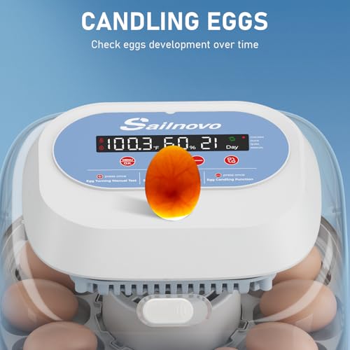 Sailnovo 12 Egg Incubator with Automatic Egg Turning & Temperature Control | Manual & Preset Modes,Built-in Candler,360°View Window,Humidity Display,Chicken Duck Quail Eggs Home Classroom Lab