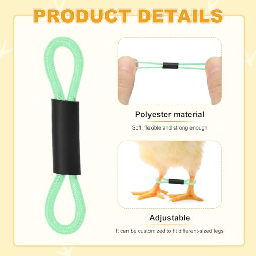 M METERXITY 100-Pack Adjustable Chick Leg Bands, 1.38" x 0.2" Polyester Chicken Leg Brace for Chicks/Ducks/Birds [Green] Poultry Leg Bands - color: Green