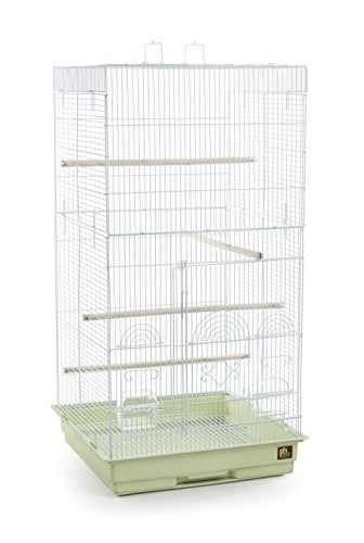 Prevue Pet Products SPECONO1818H-SG Tall Tiel Cage, Sage Green - color: Sage Green