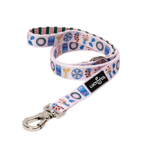 Lucy & Co. Dolce Vita Dog Leash, Durable Matching Dog Lead with Heavy Duty Hardware, Small - color: Dolce Vita, size: Small