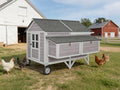 GUTINNEEN 68" Chicken Coop for 8-12 Chickens with Large Wheels, Mobile Wooden Hen House with 4 Nesting Boxes, 4 Perches, Pull-Out Trays, Outdoor Backyard Poultry Cage - size: 68.1"L x 53.9"W x 49.0"H